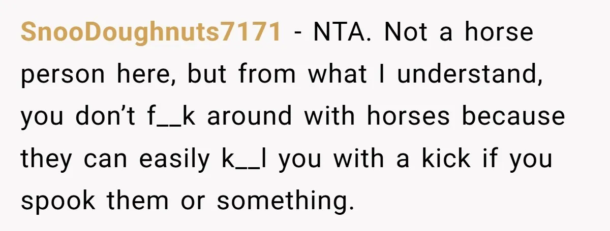 SnooDoughnuts7171 − NTA. Not a horse person here, but from what I understand, you don’t f__k around with horses because they can easily k__l you with a kick if you...
