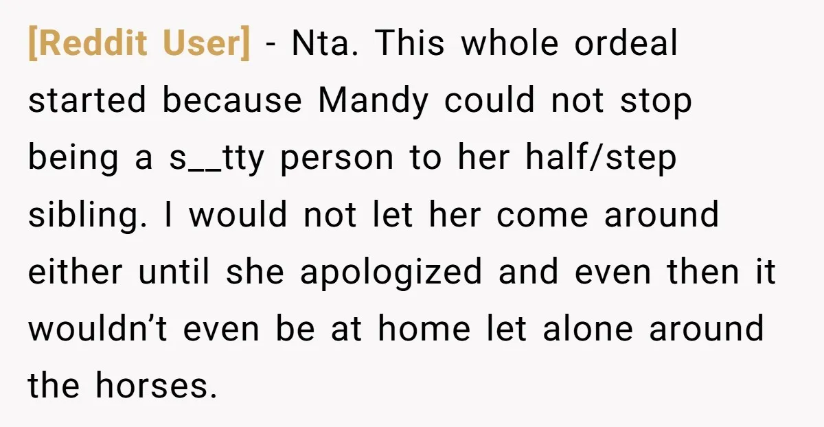 [Reddit User] − Nta. This whole ordeal started because Mandy could not stop being a s__tty person to her half/step sibling. I would not let her come around either until...