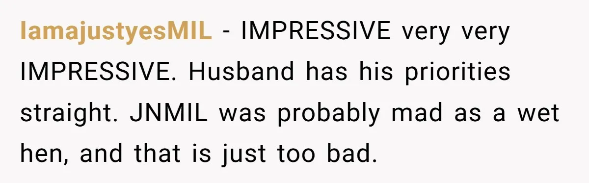 IamajustyesMIL − IMPRESSIVE very very IMPRESSIVE. Husband has his priorities straight. JNMIL was probably mad as a wet hen, and that is just too bad.