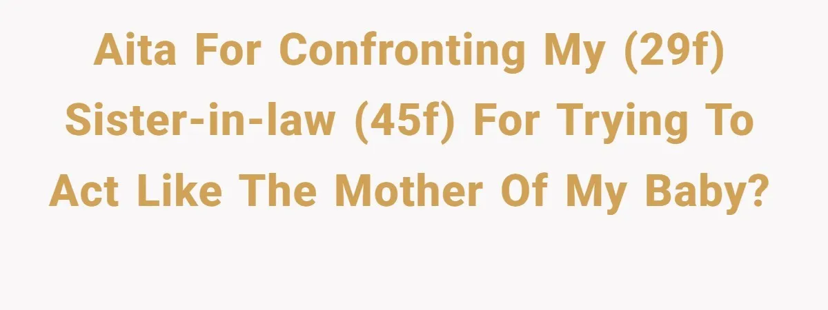AITA for confronting my (29F) sister-in-law (45F) for trying to act like the mother of my baby?