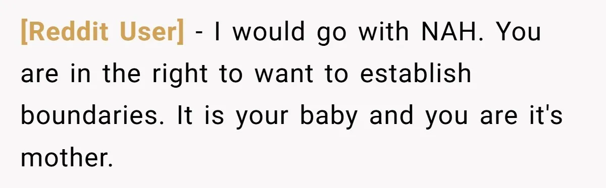 [Reddit User] − I would go with NAH. You are in the right to want to establish boundaries. It is your baby and you are it's mother.