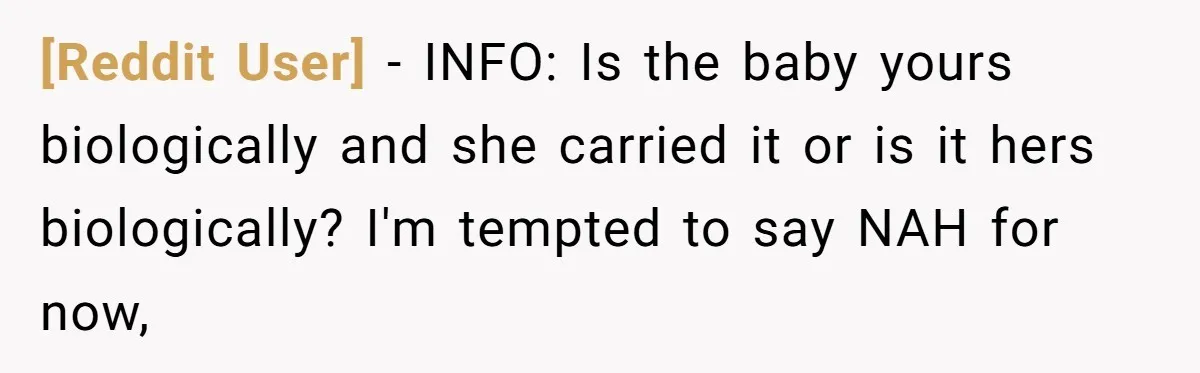 [Reddit User] − INFO: Is the baby yours biologically and she carried it or is it hers biologically? I'm tempted to say NAH for now,
