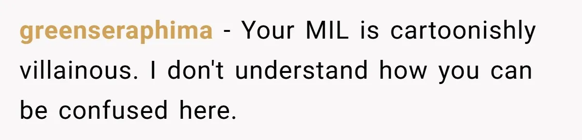 greenseraphima − Your MIL is cartoonishly villainous. I don't understand how you can be confused here.