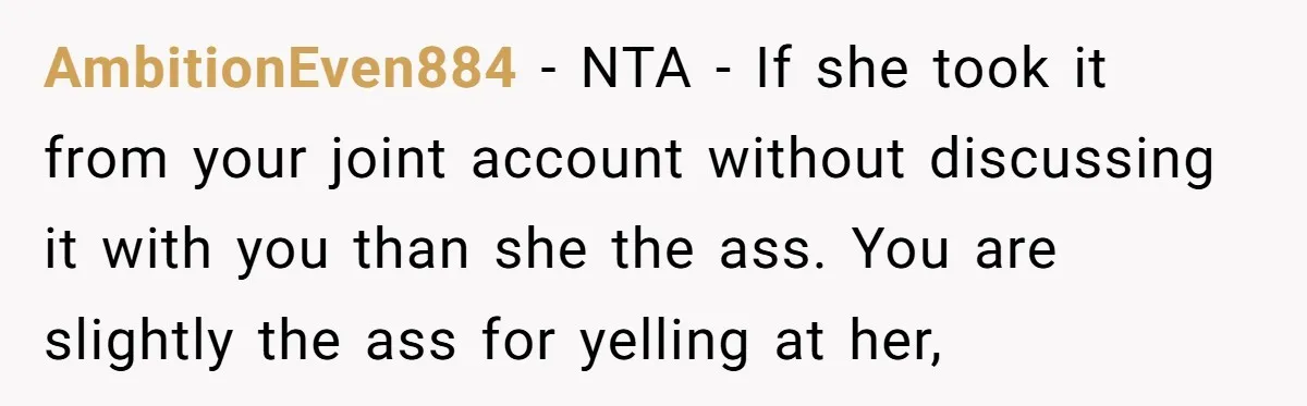 AmbitionEven884 − NTA - If she took it from your joint account without discussing it with you than she the ass. You are slightly the ass for yelling at her,