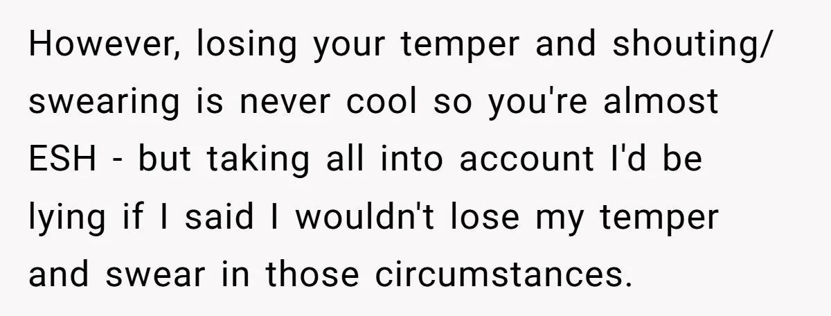 However, losing your temper and shouting/ swearing is never cool so you're almost ESH - but taking all into account I'd be lying if I said I wouldn't lose my...