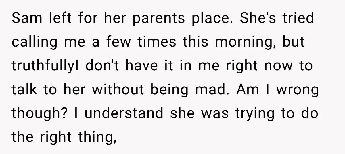 Sam left for her parents place. She's tried calling me a few times this morning, but truthfullyI don't have it in me right now to talk to her without being...