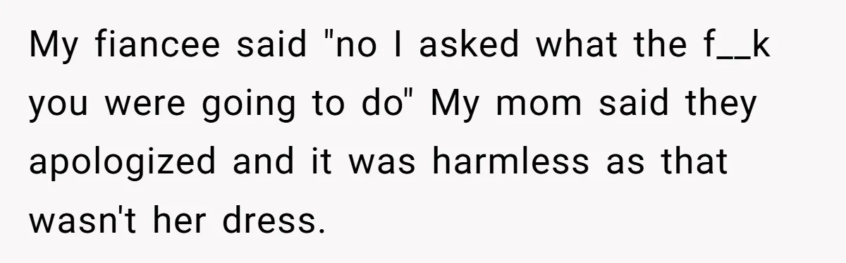 My fiancee said "no I asked what the f__k you were going to do" My mom said they apologized and it was harmless as that wasn't her dress.