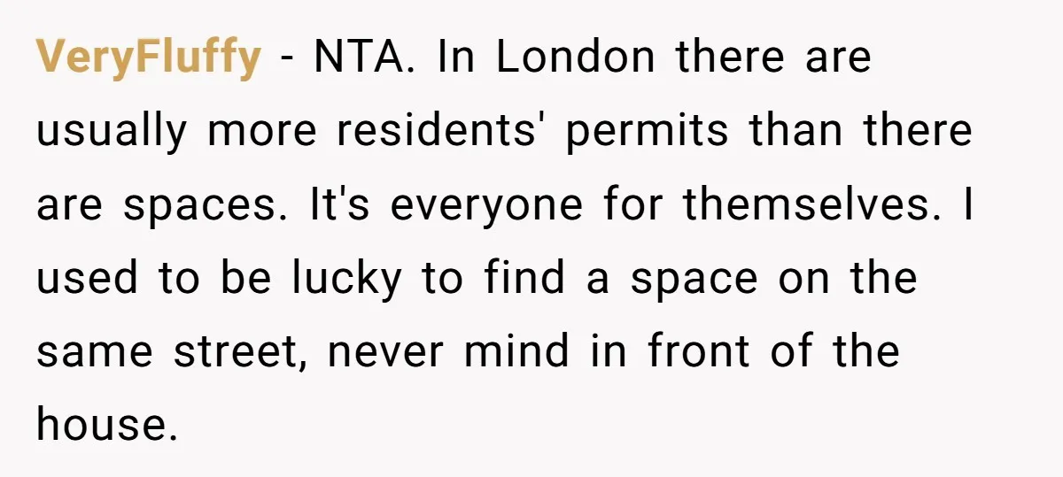 VeryFluffy − NTA. In London there are usually more residents' permits than there are spaces. It's everyone for themselves. I used to be lucky to find a space on the...