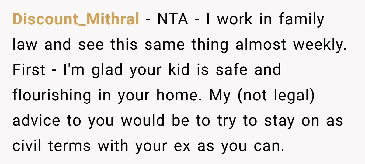 Discount_Mithral − NTA - I work in family law and see this same thing almost weekly. First - I'm glad your kid is safe and flourishing in your home. My...