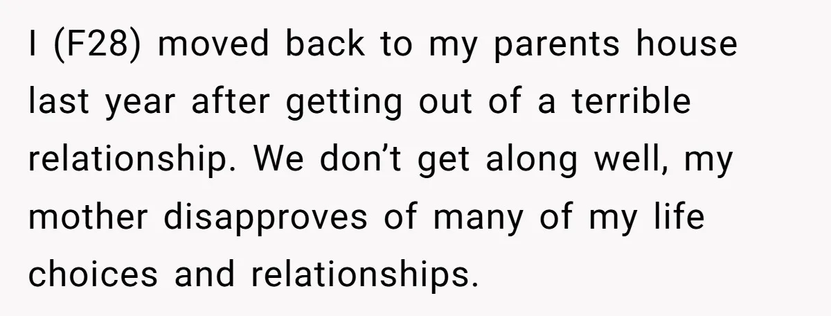 I (F28) moved back to my parents house last year after getting out of a terrible relationship. We don’t get along well, my mother disapproves of many of my life...