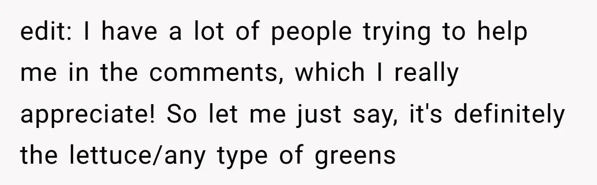 edit: I have a lot of people trying to help me in the comments, which I really appreciate! So let me just say, it's definitely the lettuce/any type of greens
