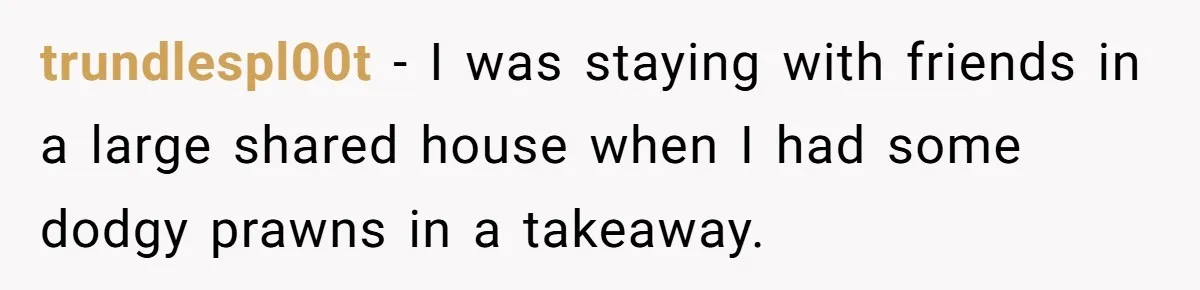 trundlespl00t − I was staying with friends in a large shared house when I had some dodgy prawns in a takeaway.