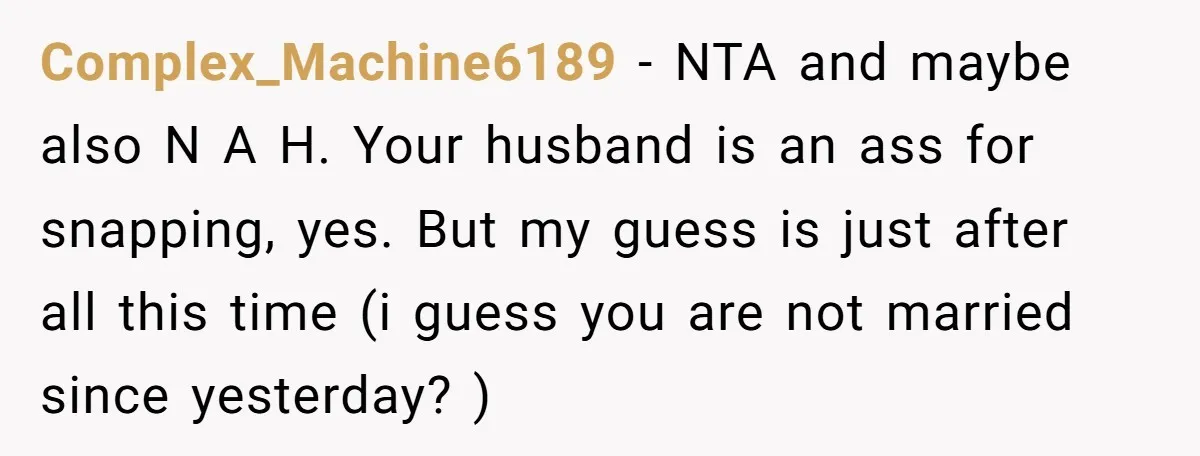Complex_Machine6189 − NTA and maybe also N A H. Your husband is an ass for snapping, yes. But my guess is just after all this time (i guess you are...