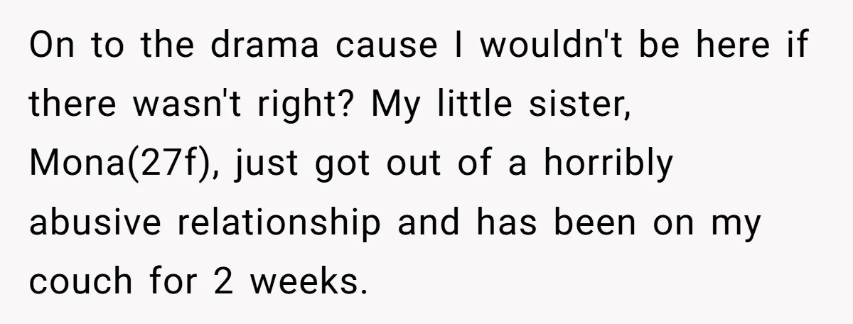 On to the drama cause I wouldn't be here if there wasn't right? My little sister, Mona(27f), just got out of a horribly abusive relationship and has been on my...
