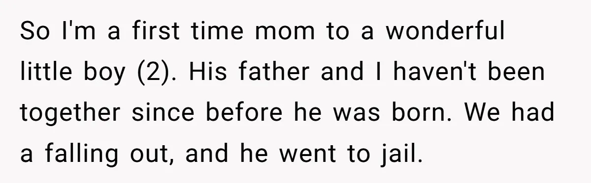 So I'm a first time mom to a wonderful little boy (2). His father and I haven't been together since before he was born. We had a falling out, and...