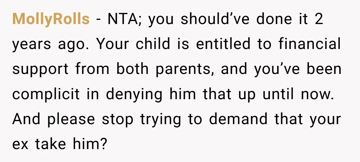 MollyRolls − NTA; you should’ve done it 2 years ago. Your child is entitled to financial support from both parents, and you’ve been complicit in denying him that up until...
