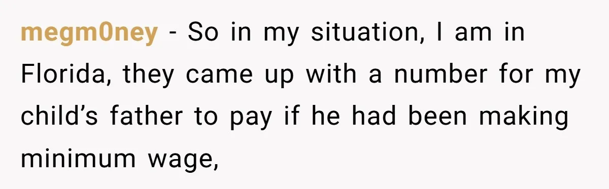 megm0ney − So in my situation, I am in Florida, they came up with a number for my child’s father to pay if he had been making minimum wage,