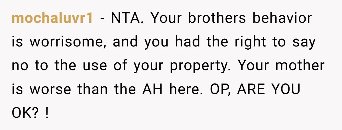 mochaluvr1 − NTA. Your brothers behavior is worrisome, and you had the right to say no to the use of your property. Your mother is worse than the AH here....