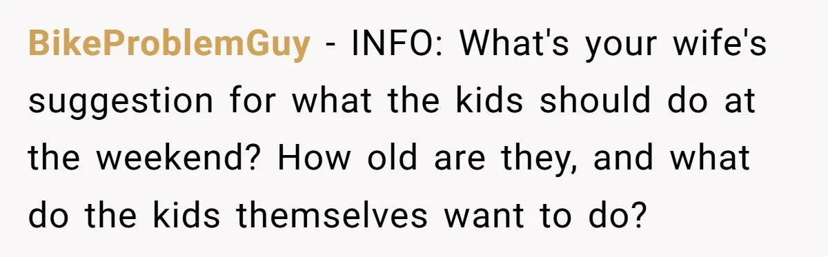 BikeProblemGuy − INFO: What's your wife's suggestion for what the kids should do at the weekend? How old are they, and what do the kids themselves want to do?