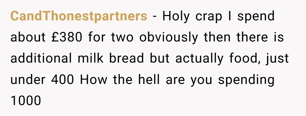 CandThonestpartners − Holy crap I spend about £380 for two obviously then there is additional milk bread but actually food, just under 400 How the hell are you spending 1000
