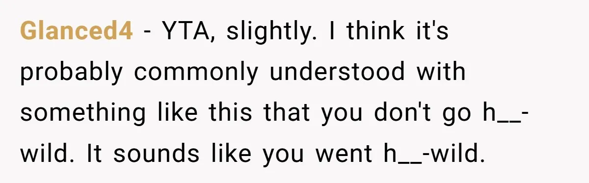 Glanced4 − YTA, slightly. I think it's probably commonly understood with something like this that you don't go h__-wild. It sounds like you went h__-wild.