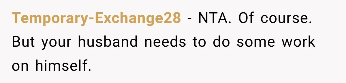 Temporary-Exchange28 − NTA. Of course. But your husband needs to do some work on himself.