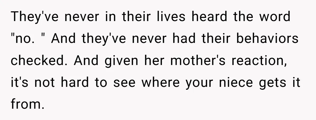 They've never in their lives heard the word "no. " And they've never had their behaviors checked. And given her mother's reaction, it's not hard to see where your niece...