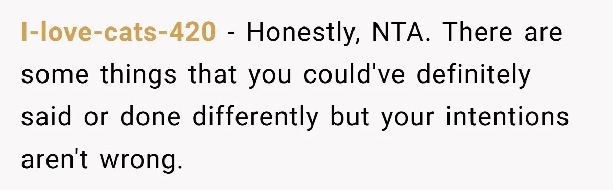 I-love-cats-420 − Honestly, NTA. There are some things that you could've definitely said or done differently but your intentions aren't wrong.