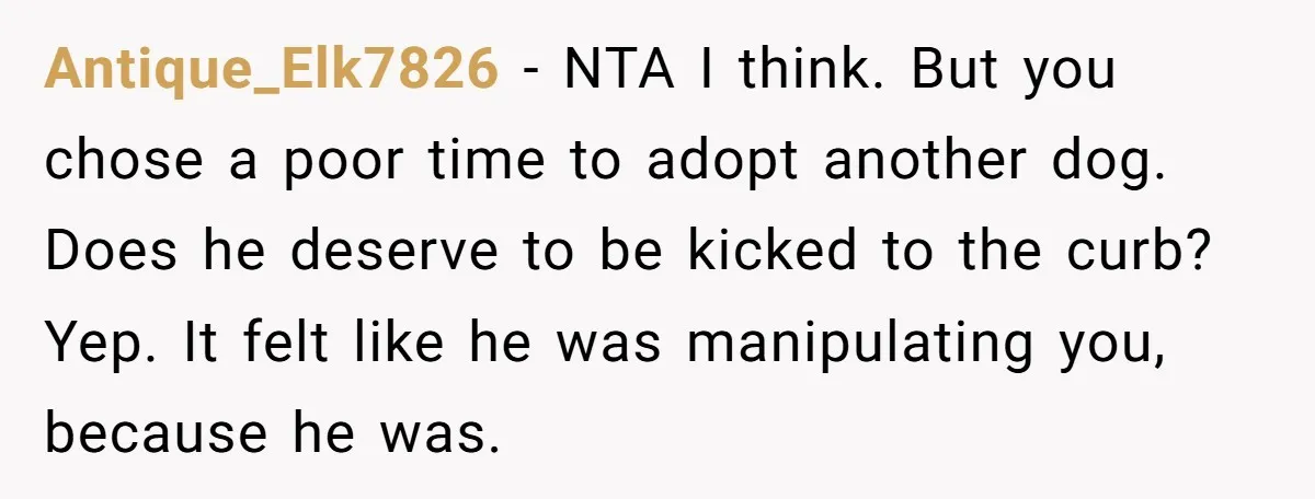Antique_Elk7826 − NTA I think. But you chose a poor time to adopt another dog. Does he deserve to be kicked to the curb? Yep. It felt like he was...