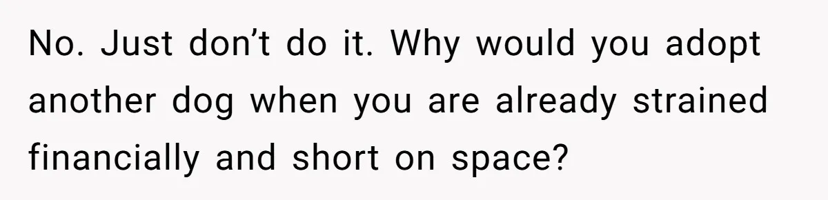 No. Just don’t do it. Why would you adopt another dog when you are already strained financially and short on space?