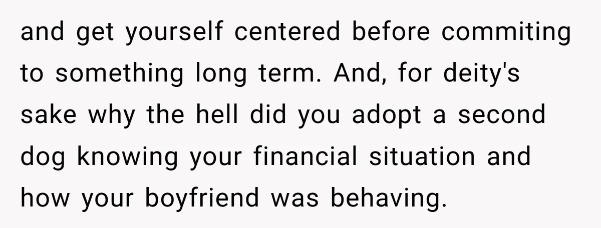 and get yourself centered before commiting to something long term. And, for deity's sake why the hell did you adopt a second dog knowing your financial situation and how your...