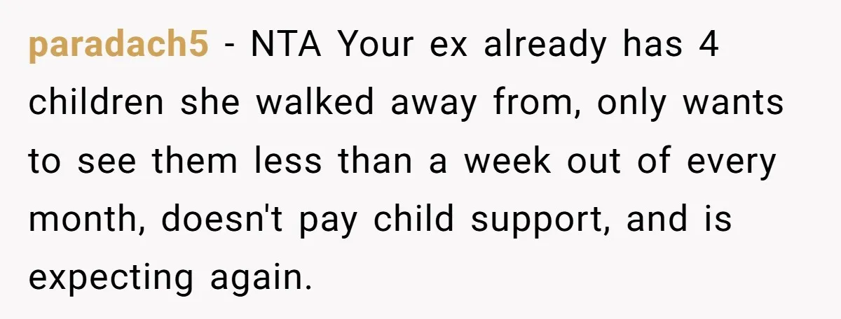 paradach5 − NTA Your ex already has 4 children she walked away from, only wants to see them less than a week out of every month, doesn't pay child support,...