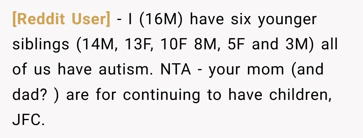 [Reddit User] − I (16M) have six younger siblings (14M, 13F, 10F 8M, 5F and 3M) all of us have autism. NTA - your mom (and dad? ) are for...