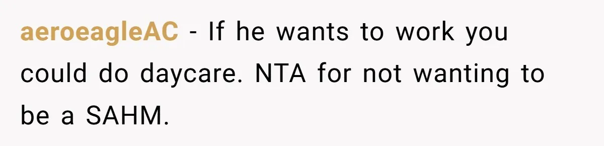 aeroeagleAC − If he wants to work you could do daycare. NTA for not wanting to be a SAHM.