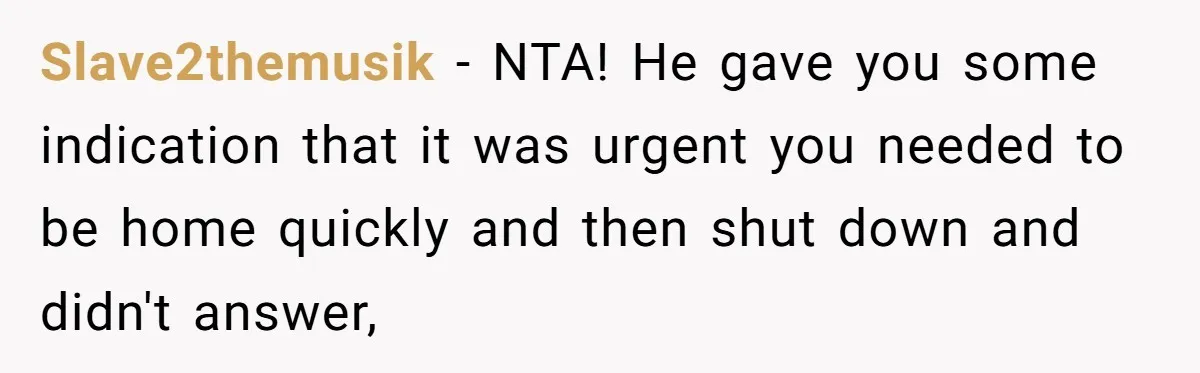 Slave2themusik − NTA! He gave you some indication that it was urgent you needed to be home quickly and then shut down and didn't answer,