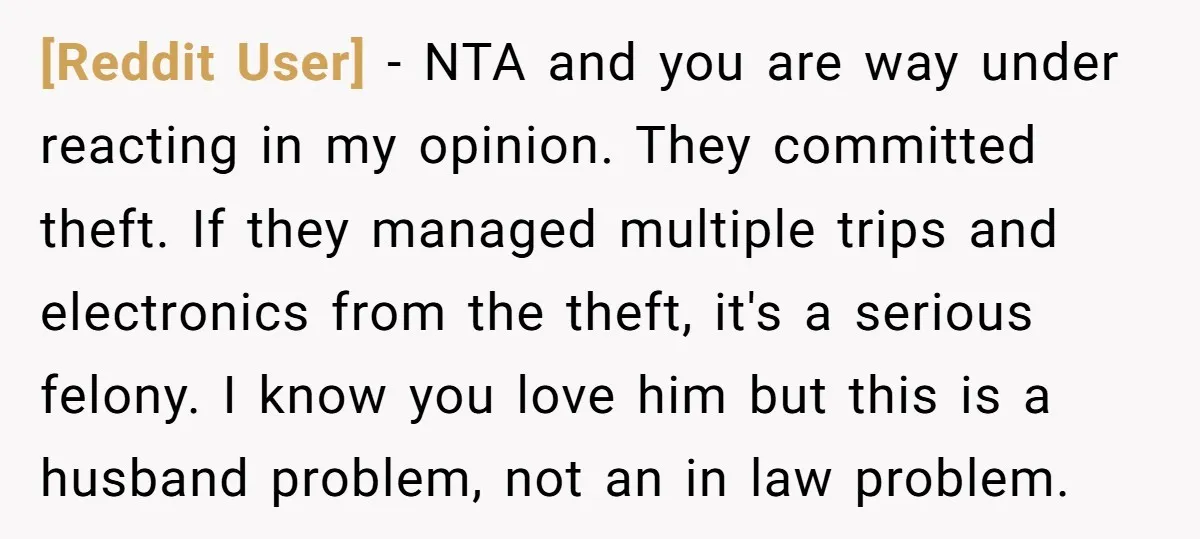 [Reddit User] − NTA and you are way under reacting in my opinion. They committed theft. If they managed multiple trips and electronics from the theft, it's a serious felony....