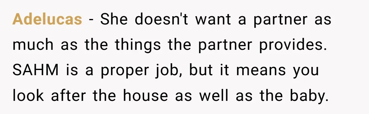 Adelucas − She doesn't want a partner as much as the things the partner provides. SAHM is a proper job, but it means you look after the house as well...