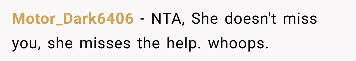 Motor_Dark6406 − NTA, She doesn't miss you, she misses the help. whoops.