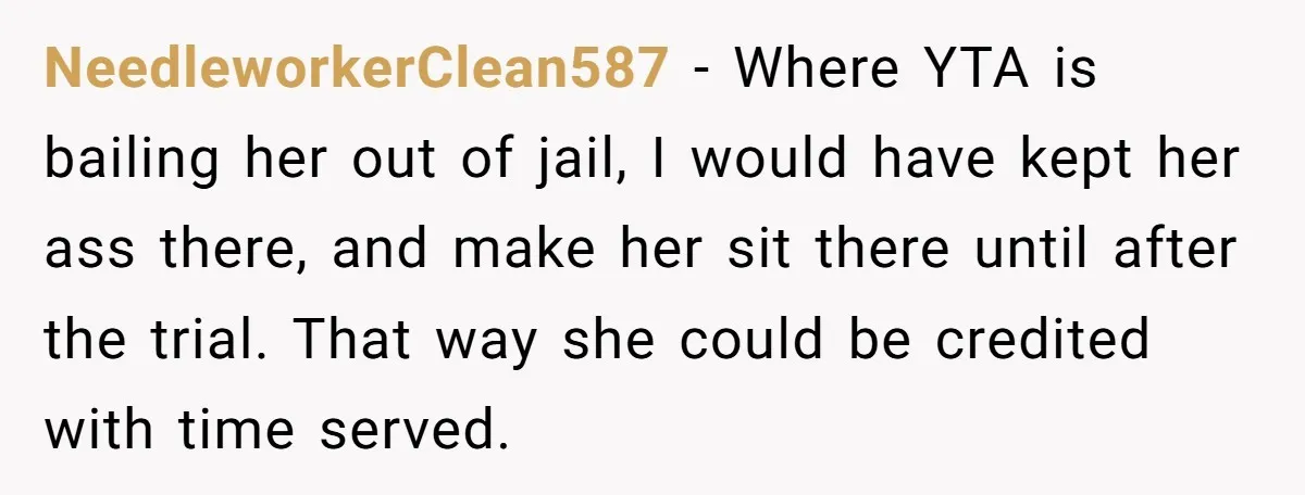 NeedleworkerClean587 − Where YTA is bailing her out of jail, I would have kept her ass there, and make her sit there until after the trial. That way she could...