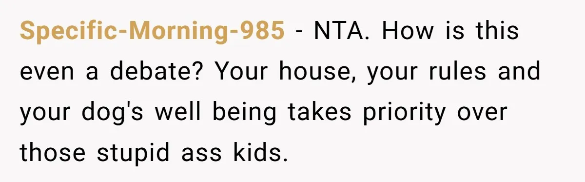 Specific-Morning-985 − NTA. How is this even a debate? Your house, your rules and your dog's well being takes priority over those stupid ass kids.