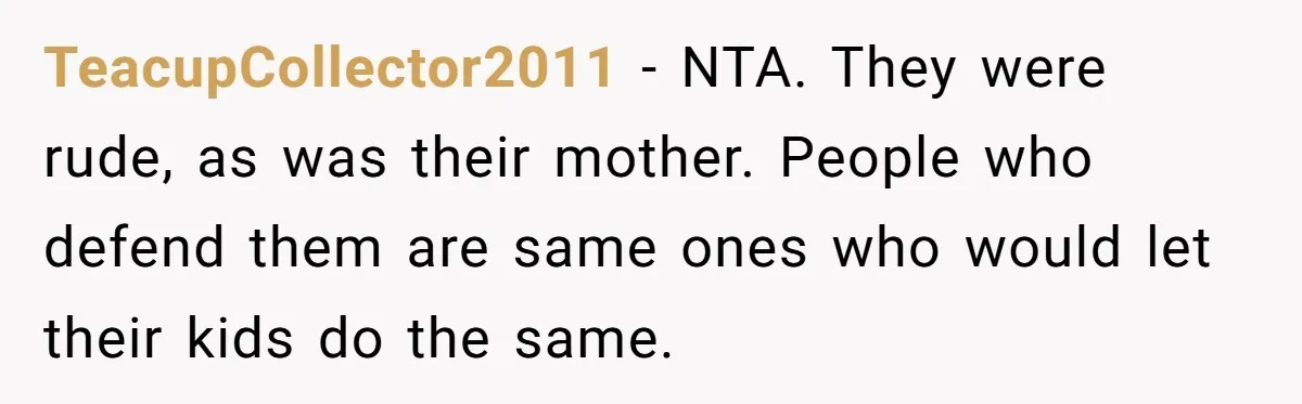 TeacupCollector2011 − NTA. They were rude, as was their mother. People who defend them are same ones who would let their kids do the same.