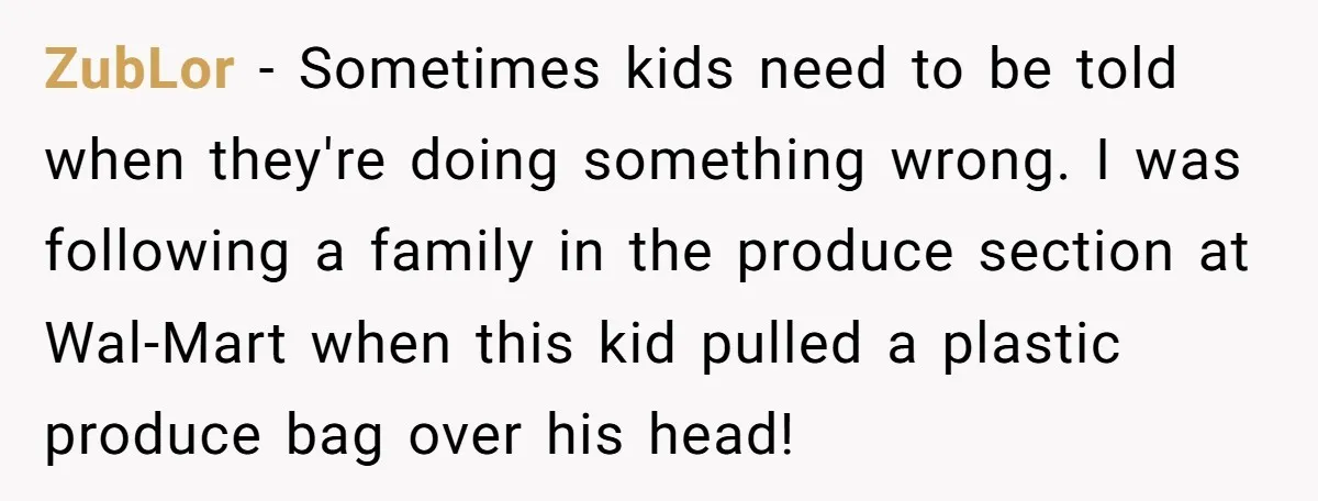 ZubLor − Sometimes kids need to be told when they're doing something wrong. I was following a family in the produce section at Wal-Mart when this kid pulled a plastic...