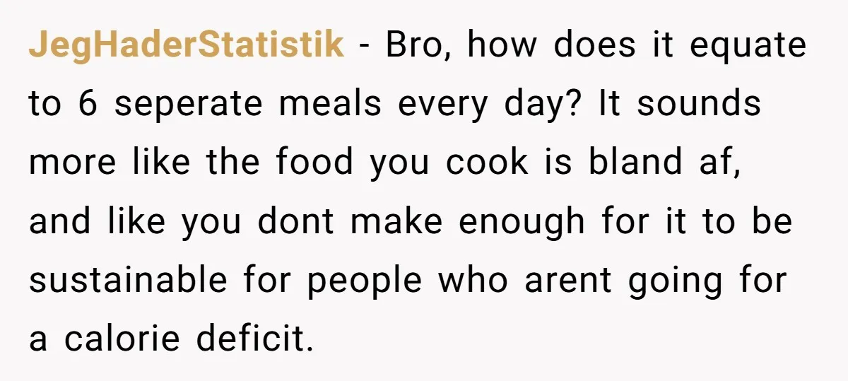 JegHaderStatistik − Bro, how does it equate to 6 seperate meals every day? It sounds more like the food you cook is bland af, and like you dont make enough...