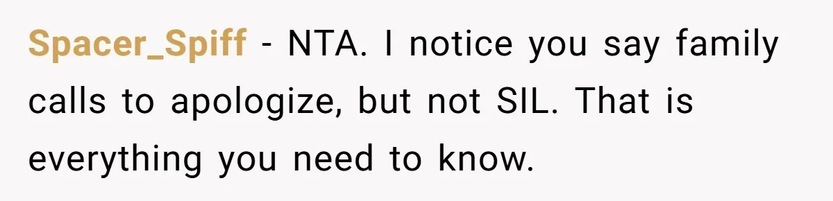 Spacer_Spiff − NTA. I notice you say family calls to apologize, but not SIL. That is everything you need to know.