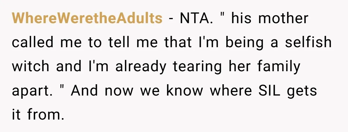 WhereWeretheAdults − NTA. " his mother called me to tell me that I'm being a selfish witch and I'm already tearing her family apart. " And now we know where...