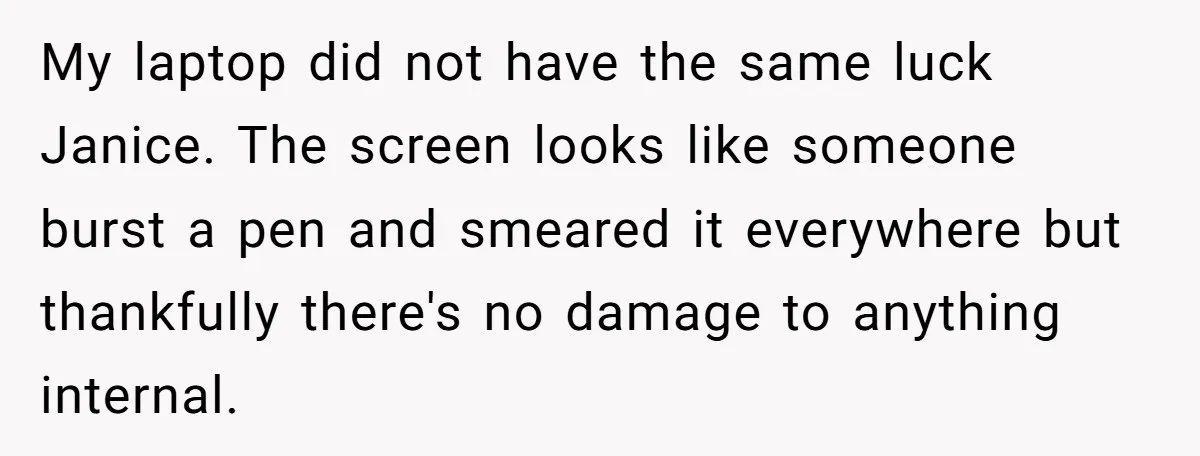 My laptop did not have the same luck Janice. The screen looks like someone burst a pen and smeared it everywhere but thankfully there's no damage to anything internal.