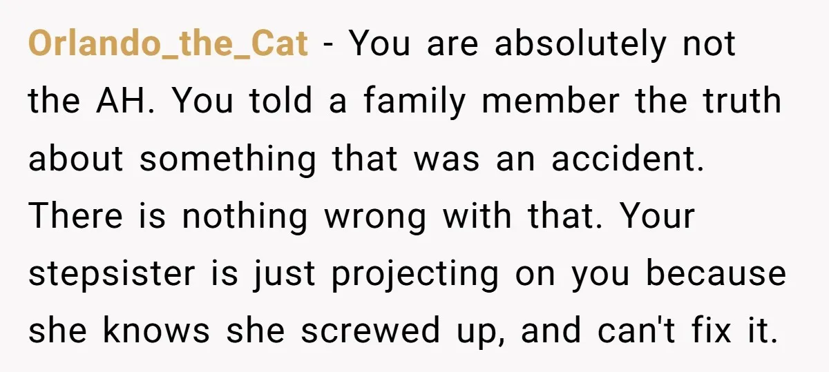 Orlando_the_Cat − You are absolutely not the AH. You told a family member the truth about something that was an accident. There is nothing wrong with that. Your stepsister is...