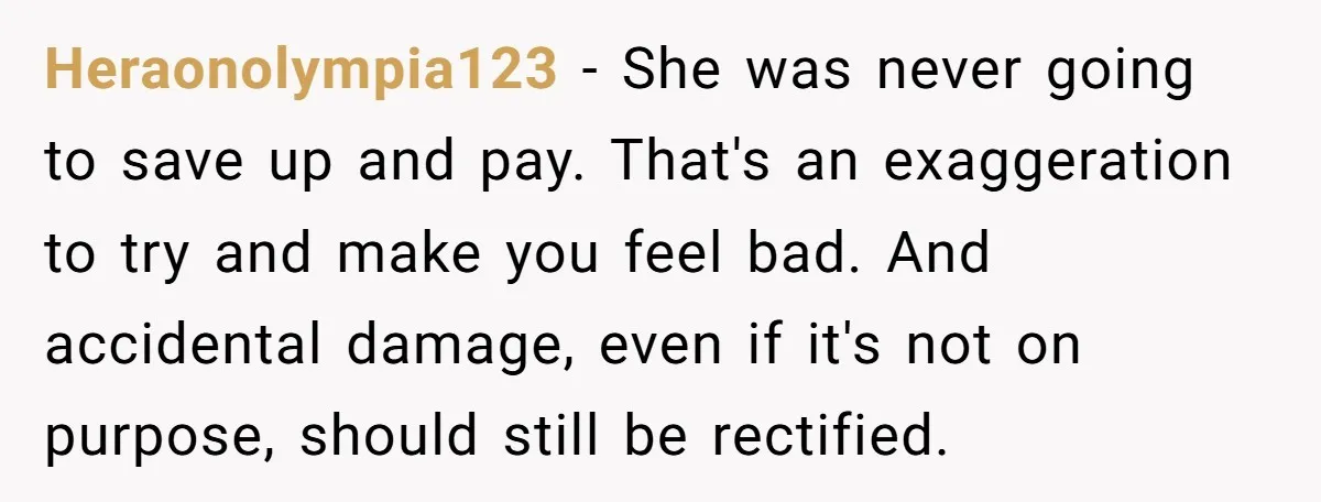 Heraonolympia123 − She was never going to save up and pay. That's an exaggeration to try and make you feel bad. And accidental damage, even if it's not on purpose,...