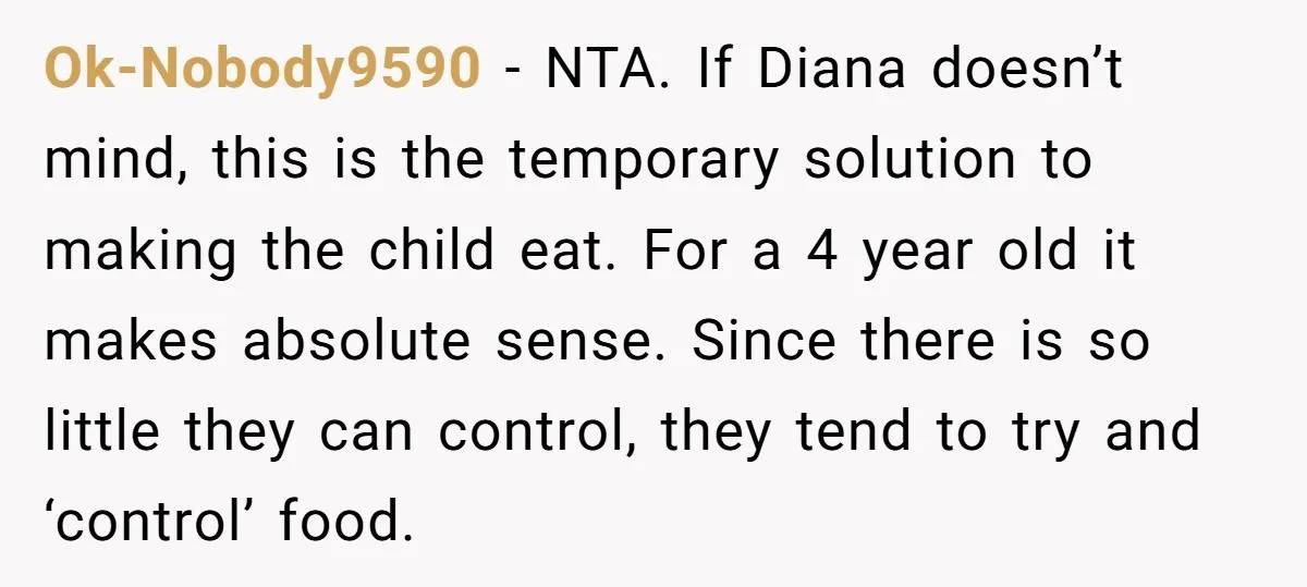 Ok-Nobody9590 − NTA. If Diana doesn’t mind, this is the temporary solution to making the child eat. For a 4 year old it makes absolute sense. Since there is so...