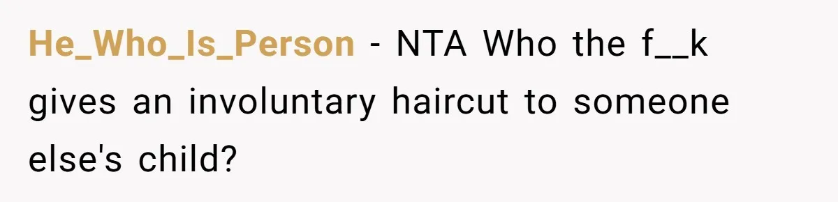 He_Who_Is_Person - NTA Who the f__k gives an involuntary haircut to someone else's child?